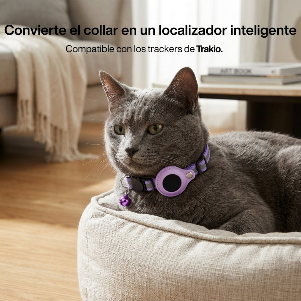 Collar para Gatos – Ajustable y Seguro